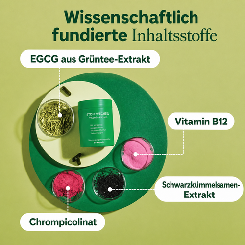 Moto Stoffwechsel Balance